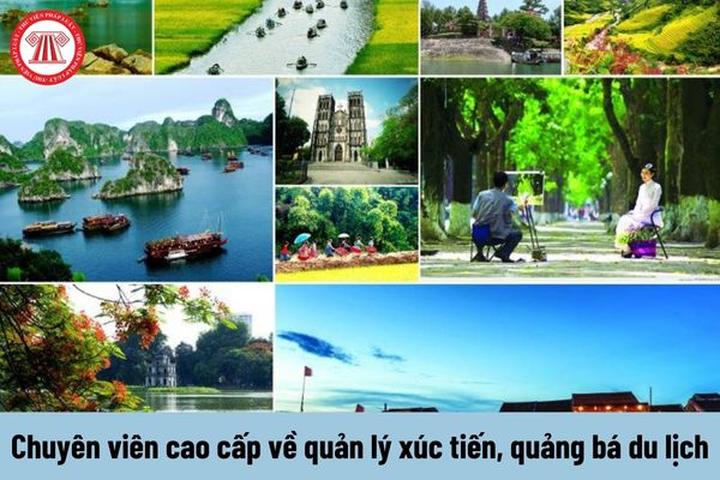 Xu hướng Bác sĩ Cung công khai tin: Hotspot Matrix tiết lộ bí quyết video viral