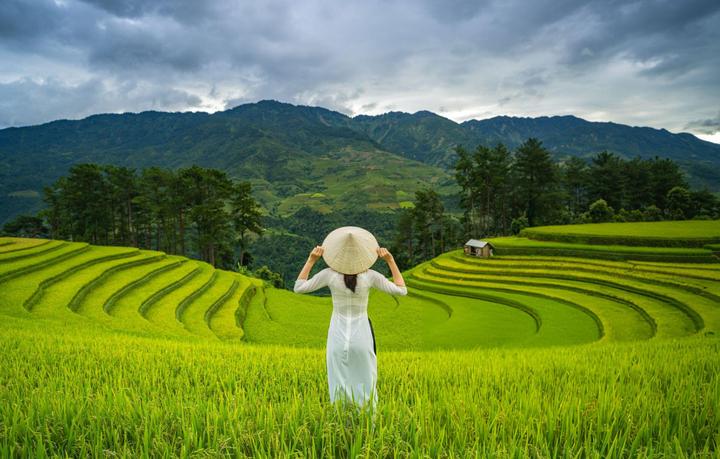 Xu hướng Chính Nữ trở lại, cổ vũ phụ: Hotspot Matrix tiết lộ bí quyết video viral
