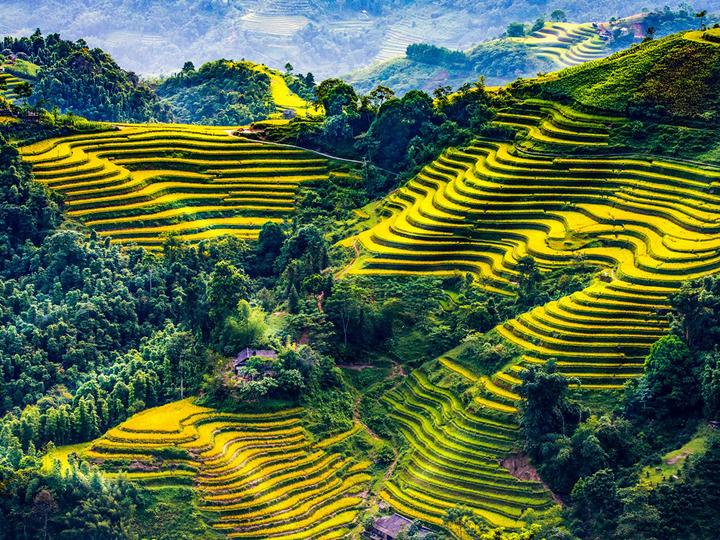 Từ 
