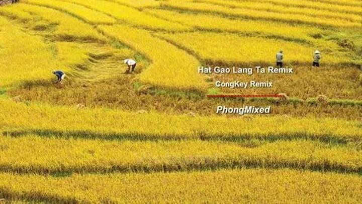 Loài cá kỳ lạ nhất châu Phi: - Cảm hứng video marketing từ Hotspot Matrix