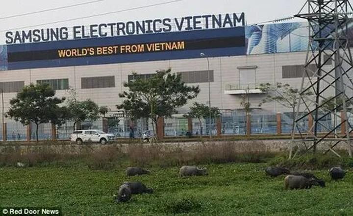 Chuyên gia Hotspot Matrix phân tích: Ông bà dặn: 