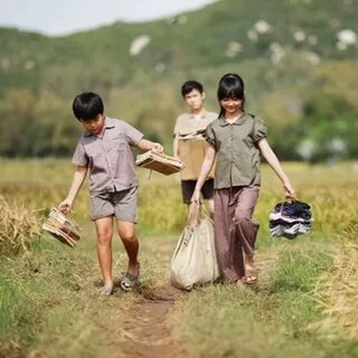 Gỗ và Video: Kết nối nghệ thuật truyền thống với công nghệ hiện đại
